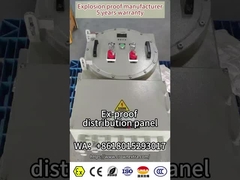 বিস্ফোরণ প্রতিরোধী আলো বিতরণ প্যানেল/কন্ট্রোল বক্স