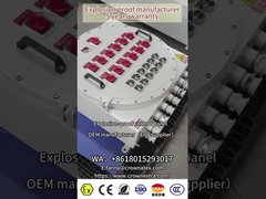 ফ্লেমপ্রুফ কন্ট্রোল প্যানেল বিতরণ বক্স বোর্ড