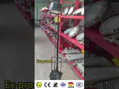 বিস্ফোরণ প্রতিরোধী পোর্টেবল LED কাজ আলো