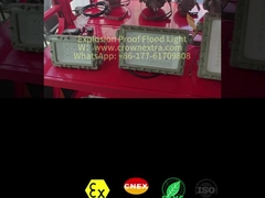 CRI Ra≥80 এক্সপ্লোশন প্রুফ LED ফ্লাড লাইট 50-300Watt বিপজ্জনক পরিবেশের জন্য