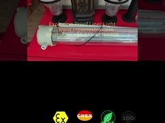 T8 লাইনার অ্যান্টি-কোরোশন স্টেইনলেস স্টিল জিআরপি এক্সপ্লোশন প্রুফ ফ্লুরোসেন্ট ল্যাম্প সিঙ্গেল টিউব