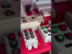 220V/380V বিস্ফোরণ-প্রমাণ স্টার্টার পাম্প পাওয়ার বিতরণ প্যানেলবোর্ড