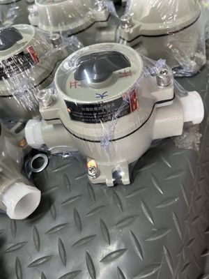 10 এমপি বিস্ফোরণ প্রতিরোধী ঘূর্ণমান স্থানান্তর নির্বাচক সুইচ ¢ শিল্প ব্যবহারের জন্য CNEX প্রত্যয়িত