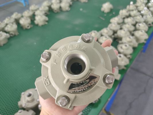 ক্যাবল স্পেসিফিকেশন 9 মিমি 13 মিমি বিস্ফোরণ-প্রমাণ সুইচ সামুদ্রিক গ্রেড অ্যালুমিনিয়াম 10A বর্তমান শিল্প নিয়ন্ত্রণ সুইচ বিপজ্জনক এলাকার জন্য