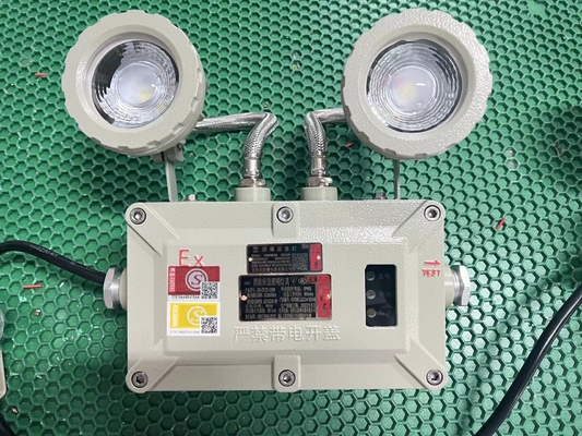 ২x3W অগ্নি-প্রতিরোধী LED জরুরি আলো – ৯০lm/W, বিপদজনক এলাকার জন্য IP66 রেটিং