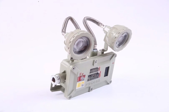 শিল্প 2*3 ওয়াট 220VAC 24/36VDC অগ্নিরোধী জরুরী আলো