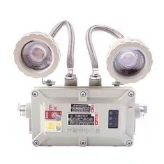 বিস্ফোরণ প্রতিরোধী Exproof জরুরী আলো 2 * 3Watt LED 220VAC 24/36VDC জোন 1 2 জন্য