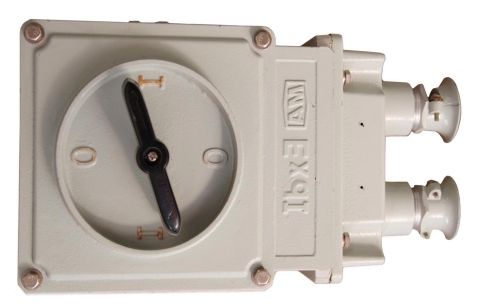 BHZ51 বিস্ফোরণ-প্রমাণ সুইচ 220V380V 10A-100A ডাই-কাস্ট অ্যালুমিনিয়াম