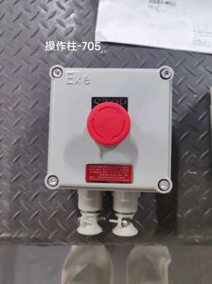 চীনে তৈরি ATEX 220V/380V BLK IP65 বিস্ফোরণ-প্রুফ আইসোলেশন সুইচ ওয়াল মাউন্ট করার জন্য উপযুক্ত