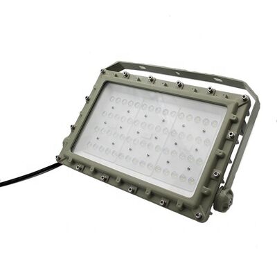 OEM বিস্ফোরণ-প্রমাণ LED ফ্লাড লাইট CRI Ra80 IP66 WF2 সুরক্ষা বিপজ্জনক পরিবেশের জন্য ডিজাইন করা হয়েছে শিল্প আলো
