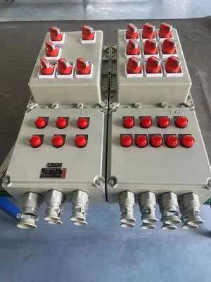 IP54/IP65/IP66 সুরক্ষা স্তর বহিরঙ্গন বিপজ্জনক এলাকার জন্য অগ্নিরোধী নিয়ন্ত্রণ প্যানেল
