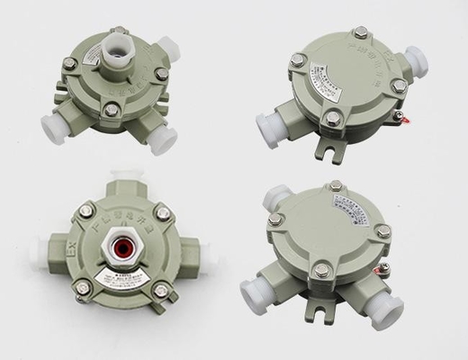 ATEX IP66 ফ্লেমপ্রুফ এক্সপ্লোশনপ্রুফ লাইটিং সুইচ অ্যান্টি-কোরোশন 380VAC 220VAC