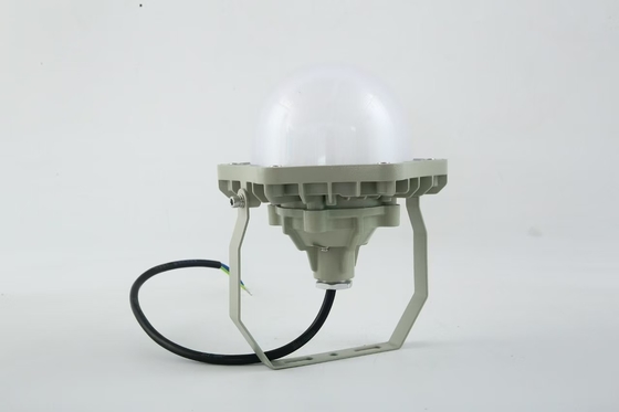 100W বিস্ফোরণ প্রতিরোধী উচ্চ বে লাইট AC220V 50/60Hz IP66 70±2CRI সহ নতুন ডিজাইন সেরা বিক্রয় পণ্য মূল্য কর্মশালা