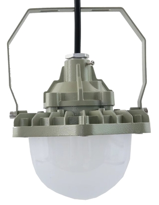 100W বিস্ফোরণ প্রতিরোধী উচ্চ বে লাইট AC220V 50/60Hz IP66 70±2CRI সহ নতুন ডিজাইন সেরা বিক্রয় পণ্য মূল্য কর্মশালা
