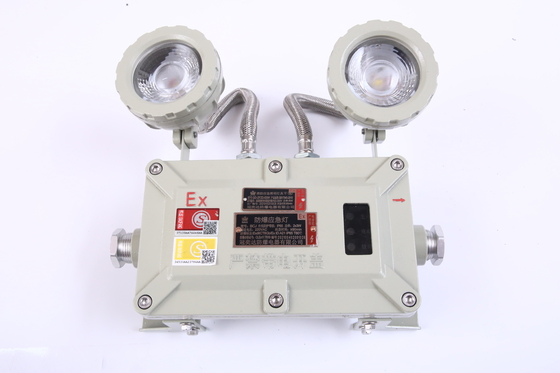 LED 2X3W ফ্লেমপ্রুফ জরুরী আলো CE