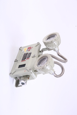 LED 2X3W ফ্লেমপ্রুফ জরুরী আলো CE