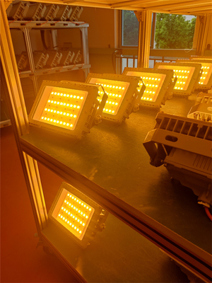 50W 100W 200W 250W বিস্ফোরণ প্রতিরোধী LED বন্যা আলো ATEX IECEx RoHS CNEX ISO9001 প্রত্যয়িত