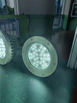 এক্স প্রুফ হাই বে লাইট 180lm/w ATEX জারা প্রতিরোধী IP66 LED আউটডোর সিলিং লাইট 50W-250W