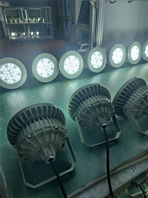 এক্স প্রুফ হাই বে লাইট 180lm/w ATEX জারা প্রতিরোধী IP66 LED আউটডোর সিলিং লাইট 50W-250W