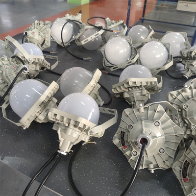 ATEX IP66 সুরক্ষা সহ বিস্ফোরণ প্ল্যাটফর্ম LED লাইট ফিক্সচার OEM সার্ভার 100lm/w