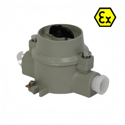 ATEX IP66 ফ্লেমপ্রুফ এক্সপ্লোশনপ্রুফ লাইটিং সুইচ অ্যান্টি-কোরোশন 380VAC 220VAC