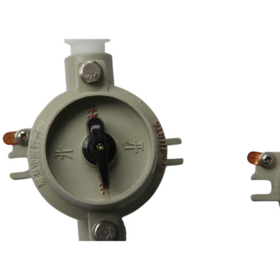ATEX IP66 ফ্লেমপ্রুফ এক্সপ্লোশনপ্রুফ লাইটিং সুইচ অ্যান্টি-কোরোশন 380VAC 220VAC