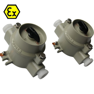 380/220VAC 10-60A বিস্ফোরণ-প্রমাণ সুইচ জলরোধী
