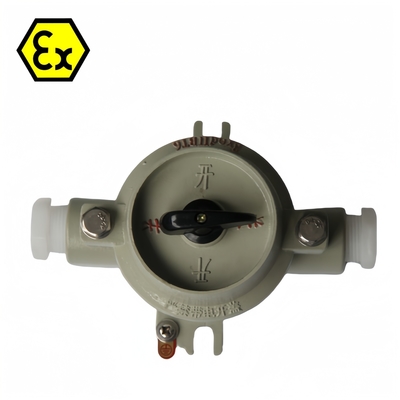 380/220VAC 10-60A বিস্ফোরণ-প্রমাণ সুইচ জলরোধী