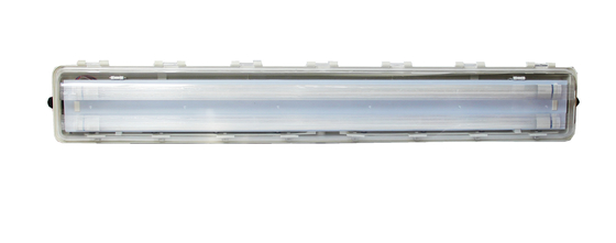 IP66 WF2 জোন 1 2 21 22 সুরক্ষা উচ্চ সুরক্ষা স্তর এবং IP66 WF2 সুরক্ষা সহ বিস্ফোরণ প্রতিরোধী ফ্লুরোসেন্ট টিউব