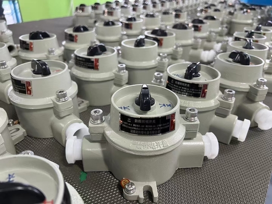 Surface Mount 4. Hazardous Location Switch for G3/4'' Cable Entry in Industrial Environments (শিল্প পরিবেশে G3/4'' ক্যাবল প্রবেশের জন্য বিপজ্জনক অবস্থান সুইচ)