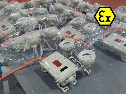 2x5W আইপি 65 বিস্ফোরণ প্রতিরোধী এলইডি জরুরী আলো বিপজ্জনক অঞ্চলের জন্য পুনরায় চার্জযোগ্য