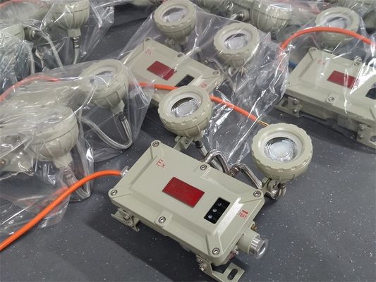 2x3W বিস্ফোরণ প্রমাণ এলইডি জরুরি প্রস্থান আলো রিচার্জেবল ব্যাটারি সহ