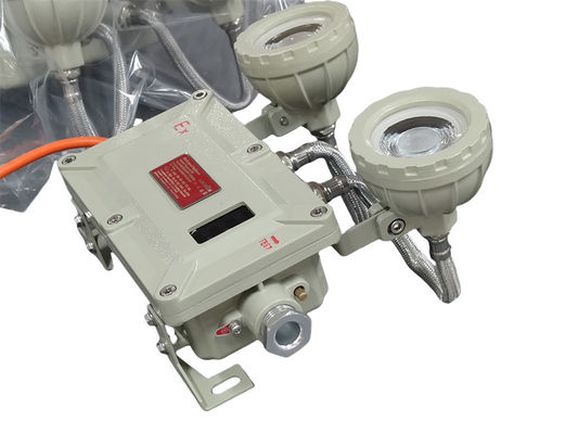 শ্রেণী I বিভাগ ২ বিস্ফোরণ প্রমাণ জরুরি নির্গমন আলো ২২০V ওয়াল মাউন্ট করা