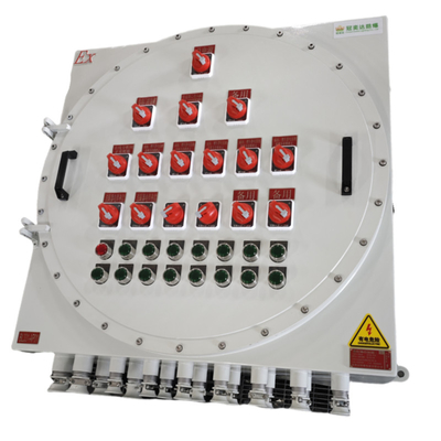 220V ATEX বিস্ফোরণ প্রতিরোধী আলোকসজ্জা পাওয়ার বিতরণ প্যানেল ক্ষয় প্রতিরোধী ওয়াল মাউন্টিং বক্স প্যানেল বিস্ফোরণ প্রতিরোধী কাস্টমাইজযোগ্য
