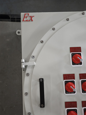220V ATEX বিস্ফোরণ প্রতিরোধী আলোকসজ্জা পাওয়ার বিতরণ প্যানেল ক্ষয় প্রতিরোধী ওয়াল মাউন্টিং বক্স প্যানেল বিস্ফোরণ প্রতিরোধী কাস্টমাইজযোগ্য