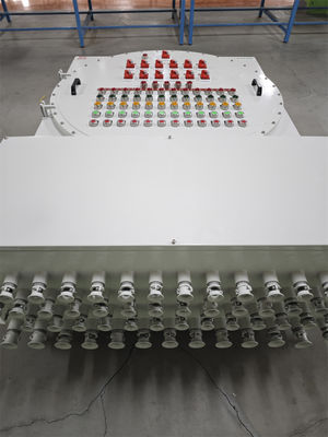 শক্তি - ATEX বিস্ফোরণ-প্রমাণ কন্ট্রোল স্টেশন শিখা-প্রমাণ বৈদ্যুতিক কন্ট্রোল বক্স 220/380Vac G1/2" G3/4" G1 G1.1/4" G1.1/2" G2