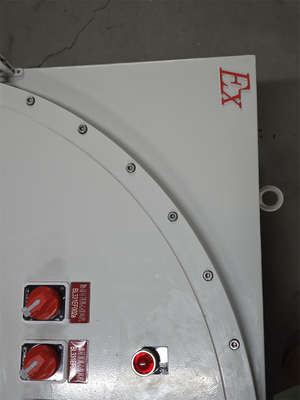 ATEX 380V ফ্লেমপ্রুফ কন্ট্রোল প্যানেল ইন্ডাস্ট্রিয়াল পাওয়ার ডিস্ট্রিবিউশন প্যানেল অ্যালুমিনিয়াম উপাদান বিপজ্জনক জোনের জন্য IP66 অ্যান্টি-কোরশন