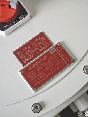 শক্তি - ATEX বিস্ফোরণ-প্রমাণ কন্ট্রোল স্টেশন শিখা-প্রমাণ বৈদ্যুতিক কন্ট্রোল বক্স 220/380Vac G1/2" G3/4" G1 G1.1/4" G1.1/2" G2