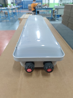 2*18w/2*36w বিস্ফোরণ প্রতিরোধী ফ্লুরোসেন্ট লাইট IP66 WF2 সুরক্ষা স্তর উচ্চ CRI Ra≥70