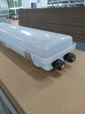2*18w/2*36w বিস্ফোরণ প্রতিরোধী ফ্লুরোসেন্ট লাইট IP66 WF2 সুরক্ষা স্তর উচ্চ CRI Ra≥70