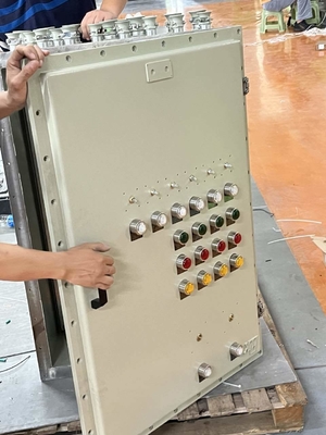 ATEX CNEX CXM সিরিজ শিখা-নিরোধক আলো বিতরণ বক্স Ex D IIC IP66 অ্যালুমিনিয়াম যা বিপদজনক অঞ্চলের জন্য আদর্শ