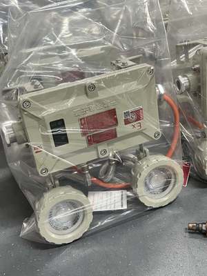 2x3W ATEX সার্টিফাইড এক্সপ্লোশন প্রুফ LED জরুরী আলো IP65