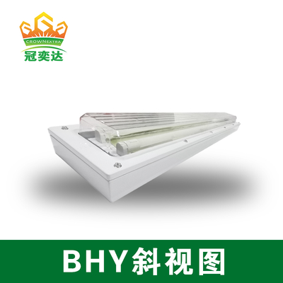 Ex d e IIC T6 Explosion Proof LED Light IP66 বিপজ্জনক এলাকার জন্য সার্টিফাইড
