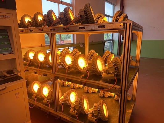গুদামের জন্য 150W বিস্ফোরণ প্রমাণ LED উচ্চ বে লাইট – সিলিং মাউন্ট করা, SMC-ঢালাই চাপ-প্রতিরোধী আবাসন
