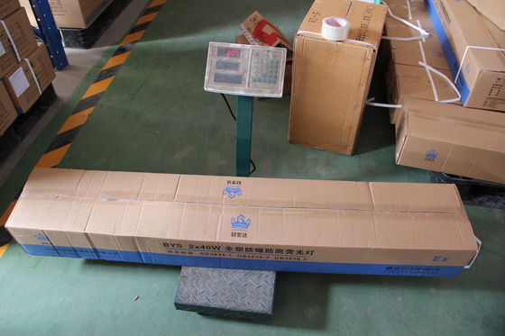 ATEX/IECEx/CNEX এক্সপ্লোশন প্রুফ লিনিয়ার এলইডি লাইট বিপজ্জনক অবস্থানের জন্য শিল্প গ্রেড আলোকসজ্জা, শক্তি দক্ষ, আইপি 66, কাস্টম শক্তি এবং রঙ তাপমাত্রা বিকল্প