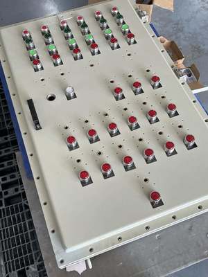 ফ্লেমপ্রুফ কন্ট্রোল প্যানেল IIB T4