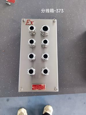 কাস্টমাইজযোগ্য স্টেইনলেস 304 বিস্ফোরণ প্রতিরোধী কন্ডাক্ট বক্স, FLP জংশন বক্স অ্যান্টি-কোরোসিওন আবরণ