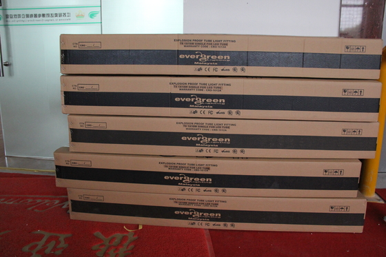 ATEX/IECEx/CNEX অনুমোদিত বিপদজনক এলাকার LED ফিক্সচার, IP66 রেটযুক্ত, 5-বছরের ওয়ারেন্টি, কাস্টমাইজযোগ্য ওয়াটেজ এবং আকারের টেকসই BYS সিরিজ বিস্ফোরণ প্রমাণ লিনিয়ার লাইট, ট্রিপল সার্টিফিকেশন সহ