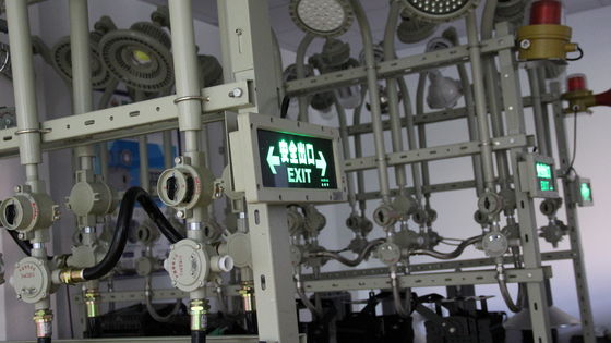 ATEX সিই আইপি66 সার্টিফাইড বিস্ফোরণ-প্রতিরোধী এলইডি এক্সিট মার্কার 5700KCCT 3W উচ্চ উজ্জ্বলতার এলইডি আলো রাসায়নিক কারখানা এবং গ্যাস স্টেশনের জন্য