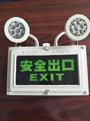 Wall Mounted 220v Double Heads 90 Min Emergency Time 20*3w Explosion Proof LED Emergency Fire Light